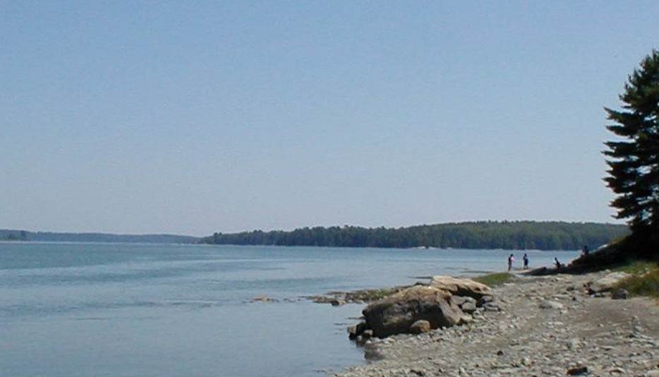 Photo of people accessing mudflats