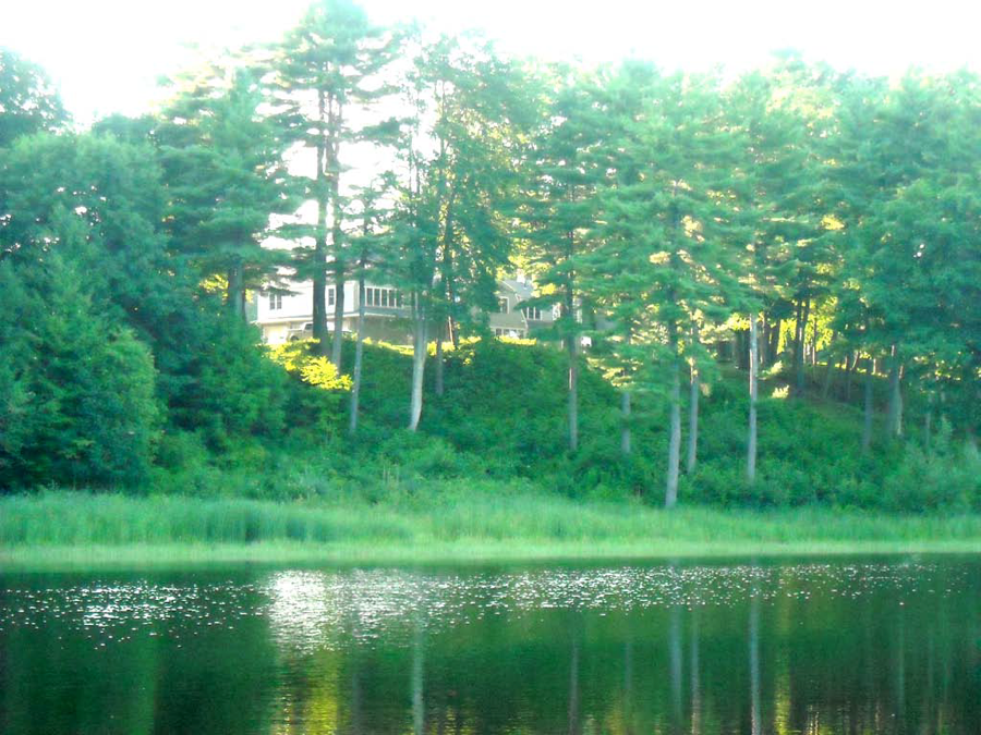 Picture of vegetated buffer between shoreline and house.