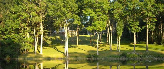 Picture of lawn buffer between shoreline and house.